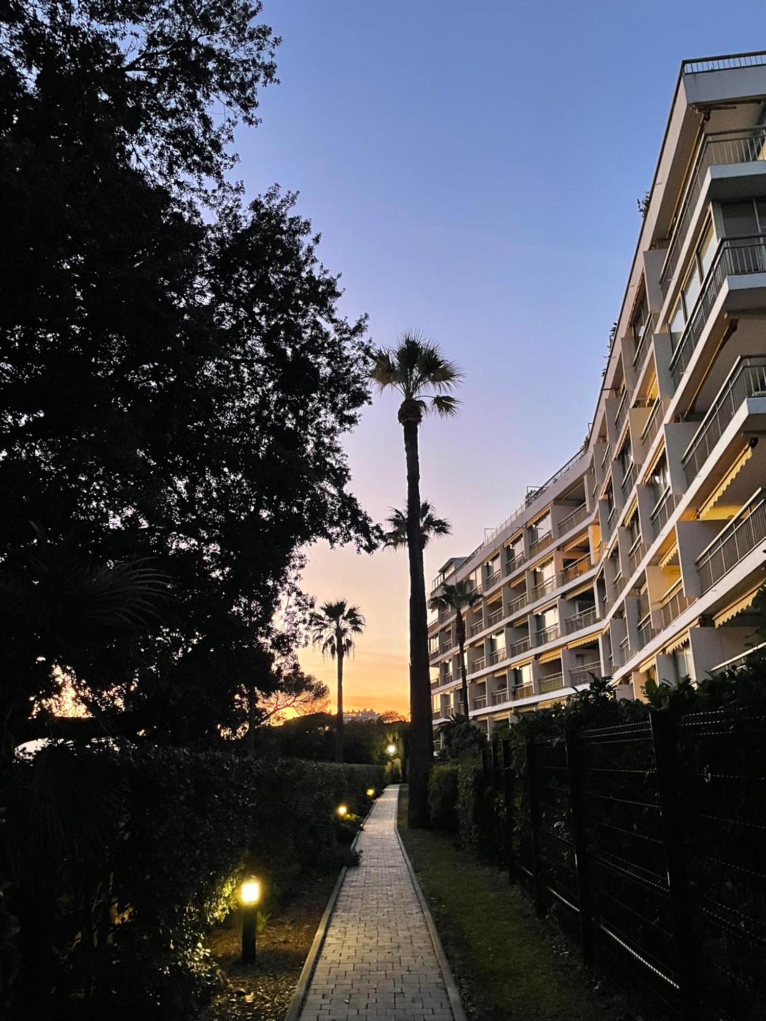 C037-Nice Studio With Garden And Parking - Near Beach Cannes Buitenkant foto